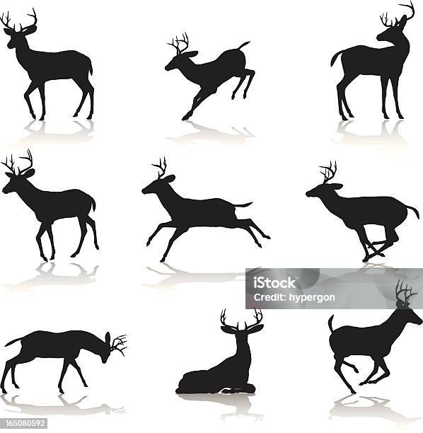 Hirsch Silhouette Kollektion Stock Vektor Art und mehr Bilder von Hirsch - Hirsch, Bock - Männliches Tier, ClipArt