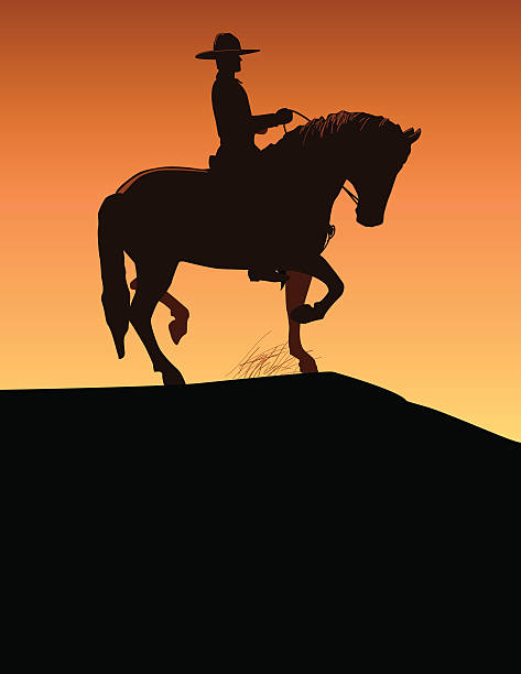 ilustrações, clipart, desenhos animados e ícones de cowboy - rodeo cowboy horse silhouette