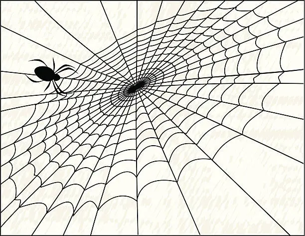 Vector illustration of Spider and Web