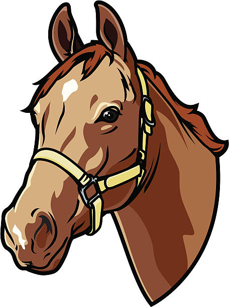 A Graphic Of A Bridled Horse Head Stock Illustration - Download Image Now -  Horse, Cartoon, Animal Head - iStock