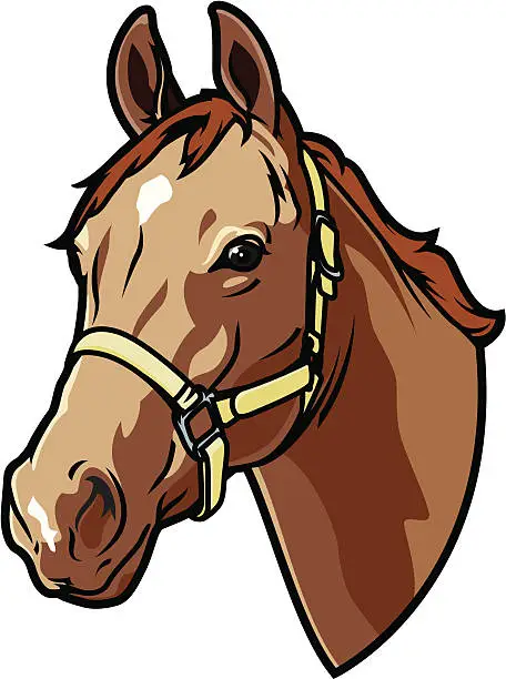Vector illustration of A graphic of a bridled horse head