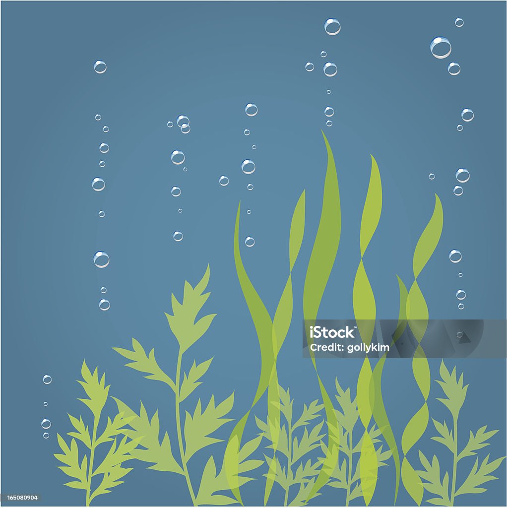 Seaweed Seaweed stock vector
