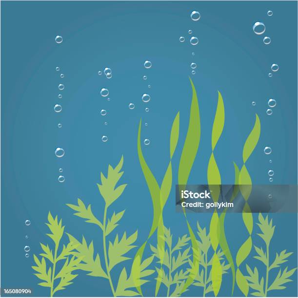 Seaweed Stock Illustration - Download Image Now - Seaweed, Underwater, Vector