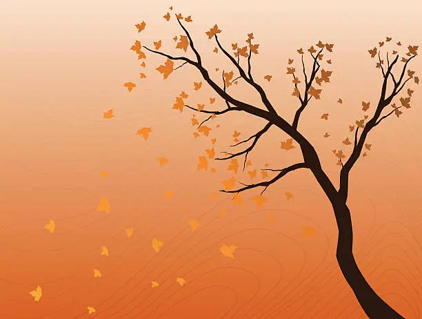 Vector illustration of fall