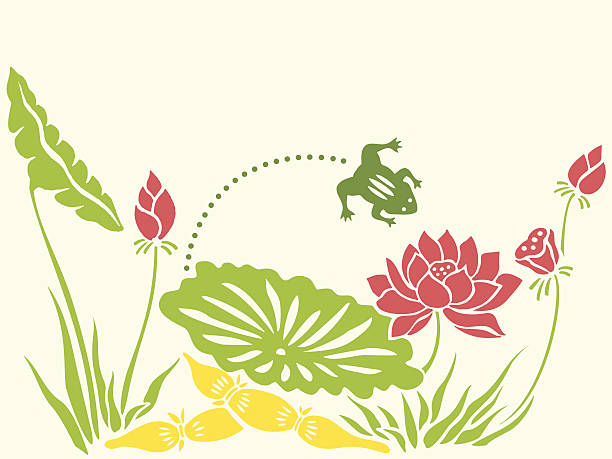 illustrazioni stock, clip art, cartoni animati e icone di tendenza di rana & lotus - red frog