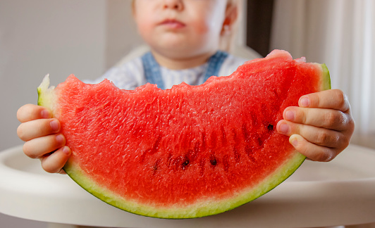 Toddler girl holding in hands big red slice of watermelon. Healthy eating concept. Healthy food at home