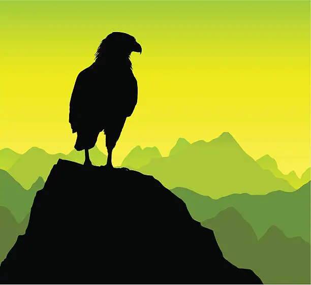 Vector illustration of Eagle on a rocky peak