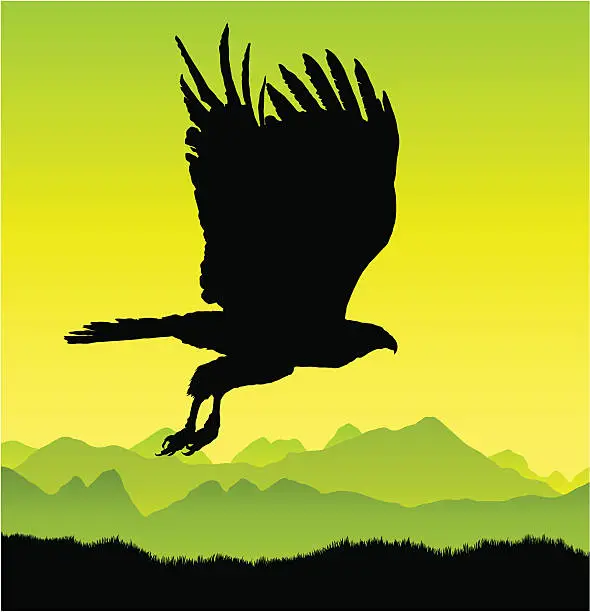 Vector illustration of Bird of prey in flight