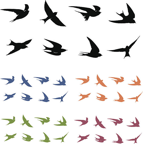 Swallows in Flight 8 swallow silhouettes with 5 color options. swallow bird stock illustrations