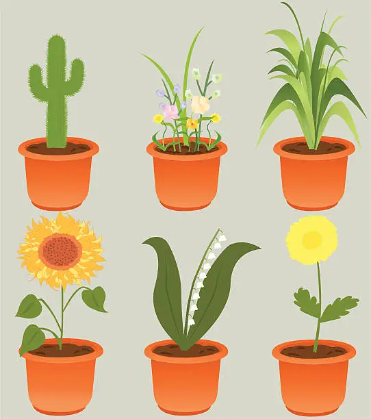 Vector illustration of Plant Variety Pack