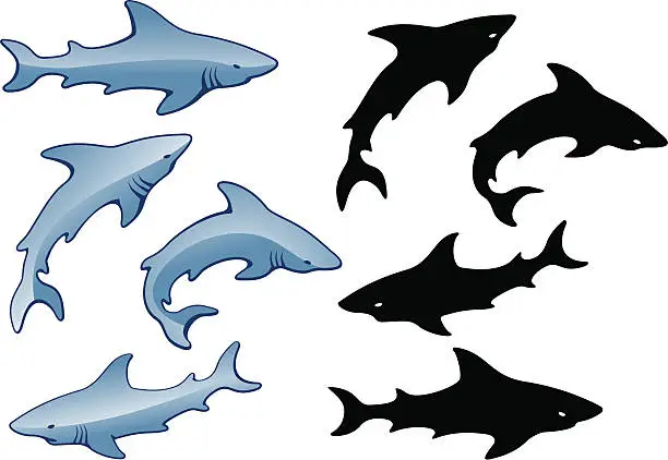 Vector illustration of Shiny Sharks