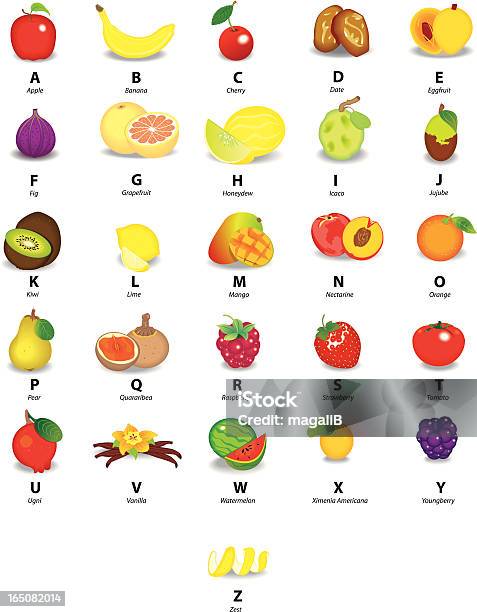 알파벳 과일 과일에 대한 스톡 벡터 아트 및 기타 이미지 - 과일, 알파벳, 채소