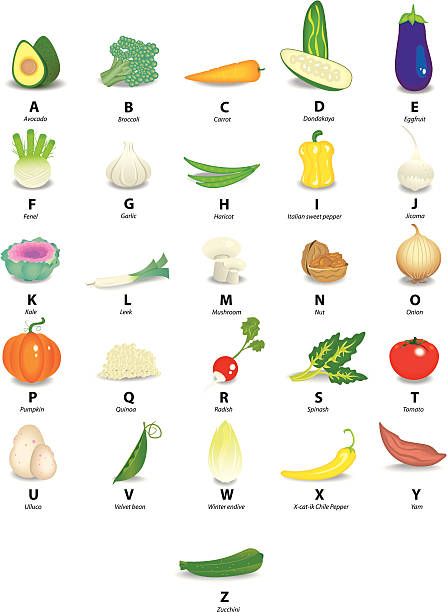 ilustraciones, imágenes clip art, dibujos animados e iconos de stock de verduras alfabeto - bean avocado radish nut