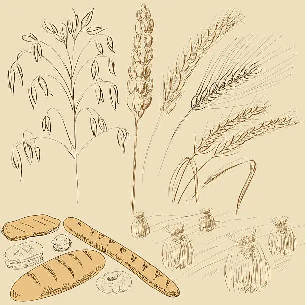 Vector illustration of Bread