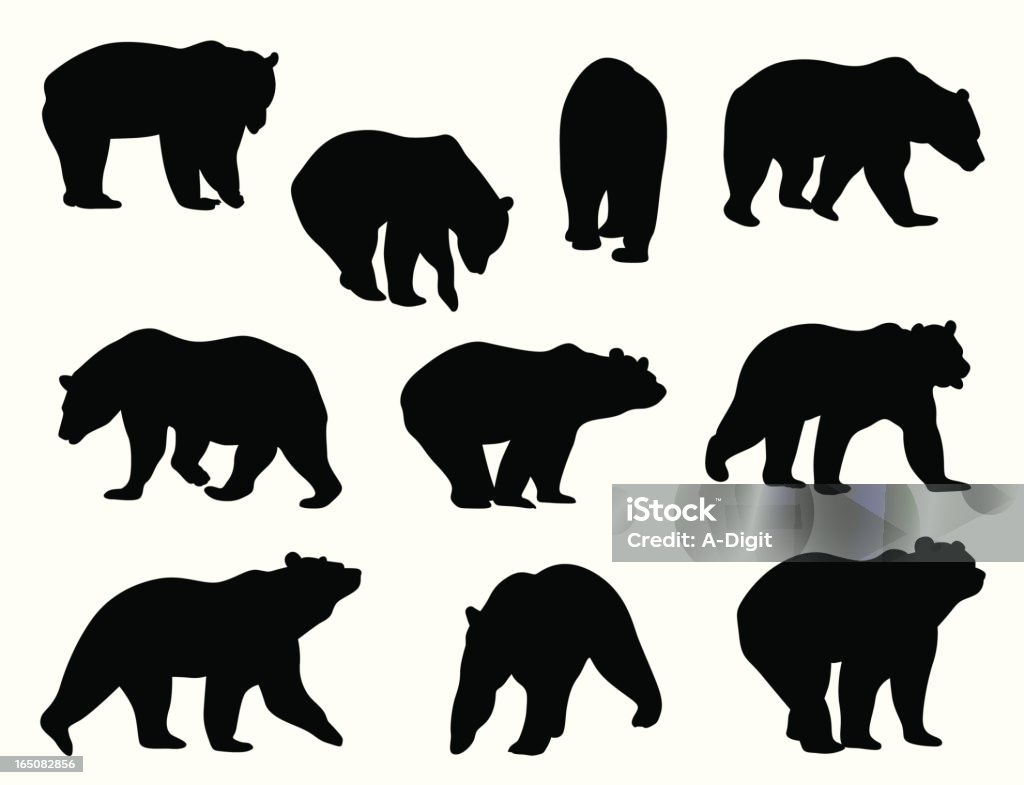 Grizzly Bears A-Digit Bear stock vector