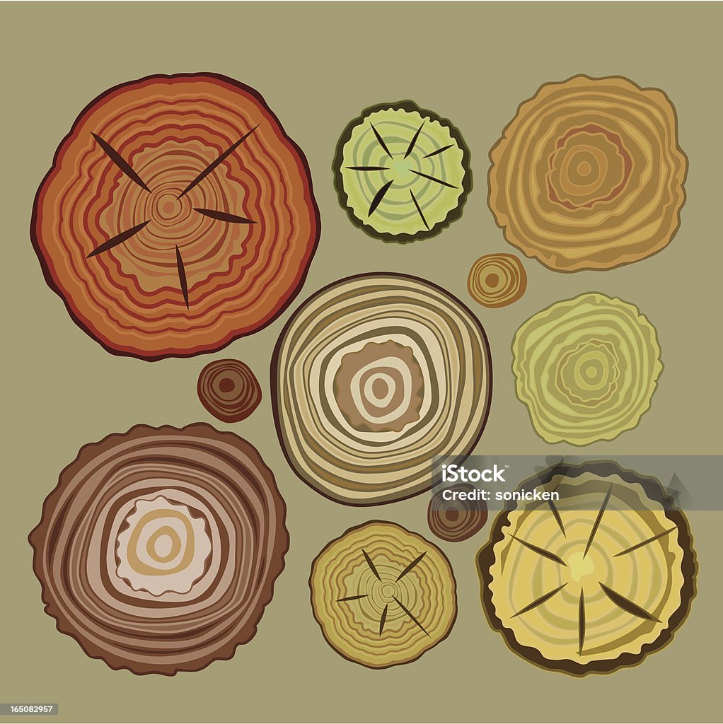 Tree Rings Stock Illustration - Download Image Now - Tree Ring, Vector ...