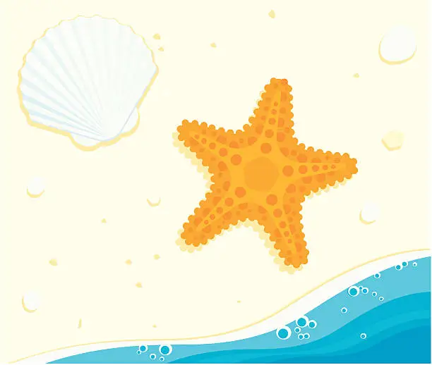 Vector illustration of Starfish and Shell