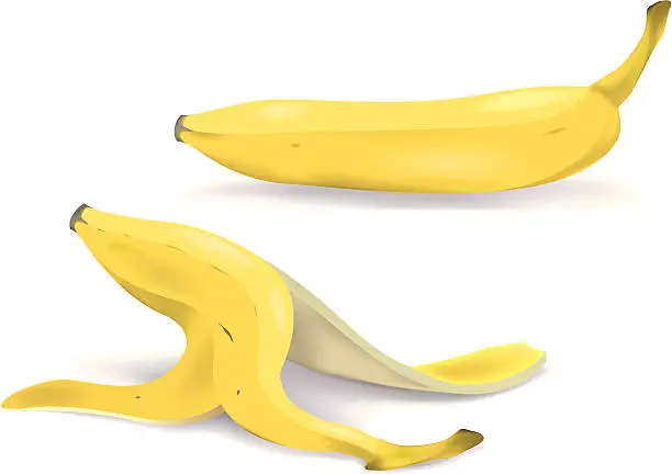 Vector illustration of Banana and skin