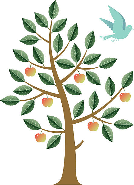 apple baum und vogel - bush bird tree wood stock-grafiken, -clipart, -cartoons und -symbole