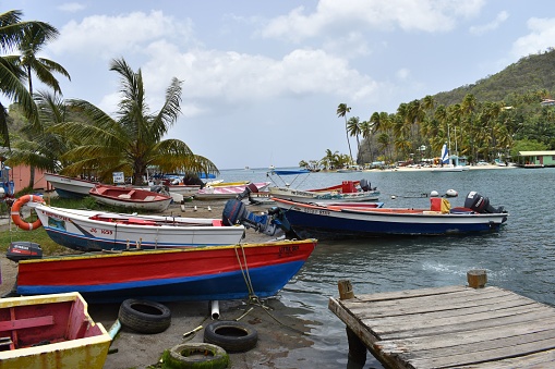 willmstead, Antigua and Barbuda – May 17, 2022: Numerous boats moored near a tropical beach with a swaying palm tree in the backdrop