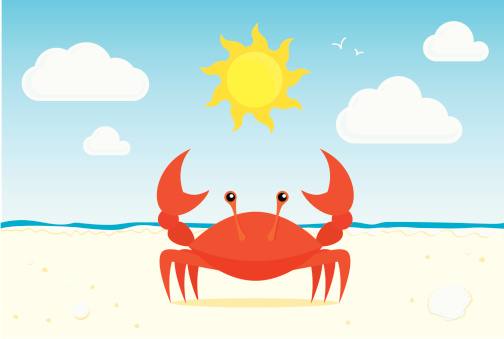 A crab on the beach with the sun and clouds in the sky and the breaking surf and sea in the background.