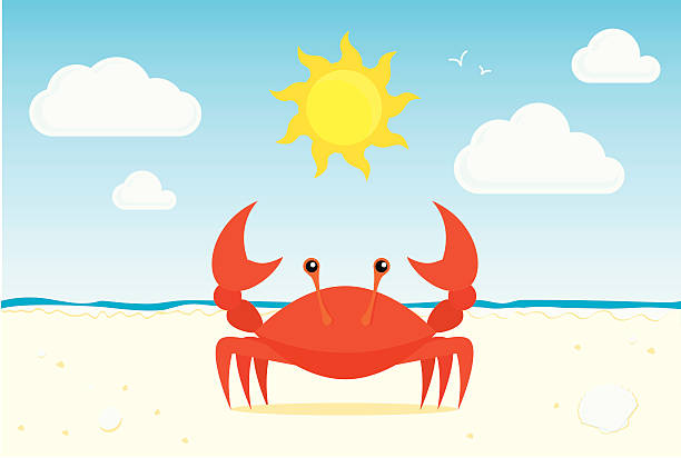 Graphic of red crab on a sunny beach A crab on the beach with the sun and clouds in the sky and the breaking surf and sea in the background. crab stock illustrations