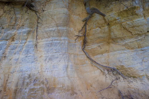 Close up of layers compated earth in this geological cliff.