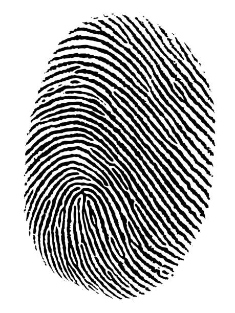 Fingerprint Vector vector art illustration