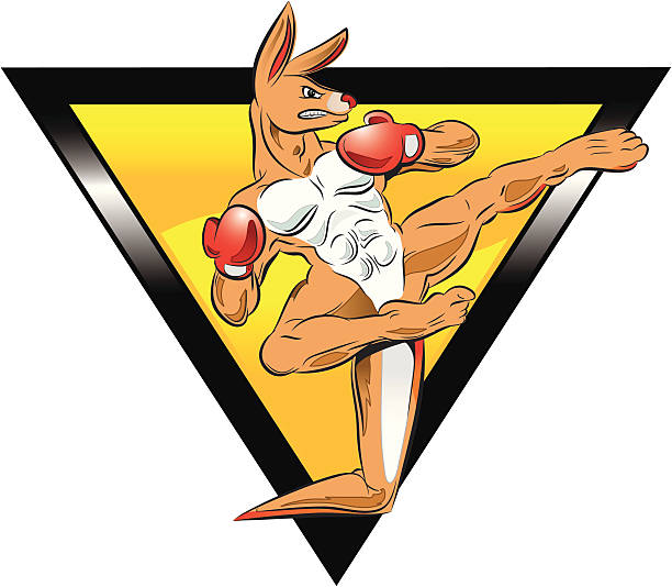 Kickboxer Kangaroo Cartoon illustration-of a Kangaroo performing a kickboxing move.  Outlines, colors, and triangle are all on separate layers.  Hi-Res Jpeg included. kangaroos fighting stock illustrations
