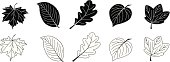 A collection of five different leaves in black and white - not only nice for autumn designs!