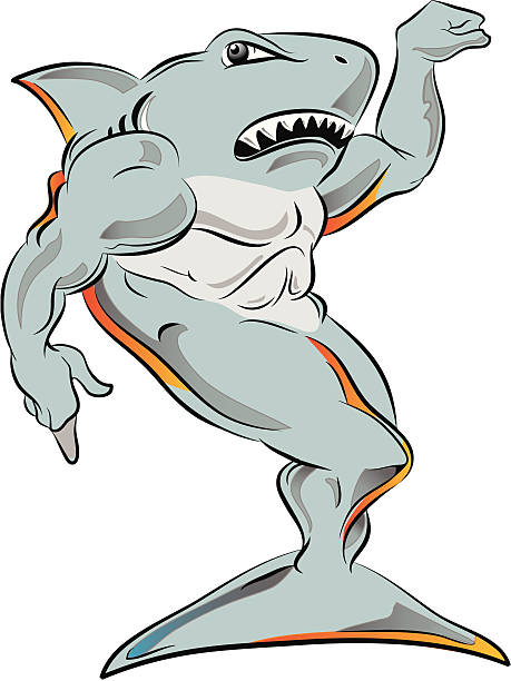 illustrazioni stock, clip art, cartoni animati e icone di tendenza di squalo di potenza - human muscle muscular build animal muscle anatomy