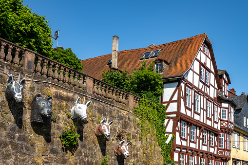 Marburg, Germany - June 13, 2023: animals head sculptures at old wall in historic Marburg under blue summer sky