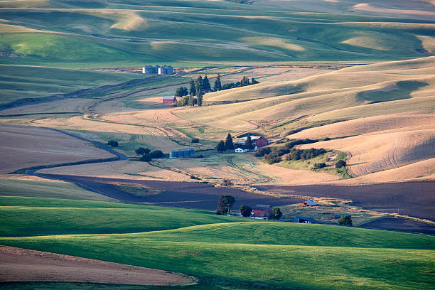 istock American farmland 165084431