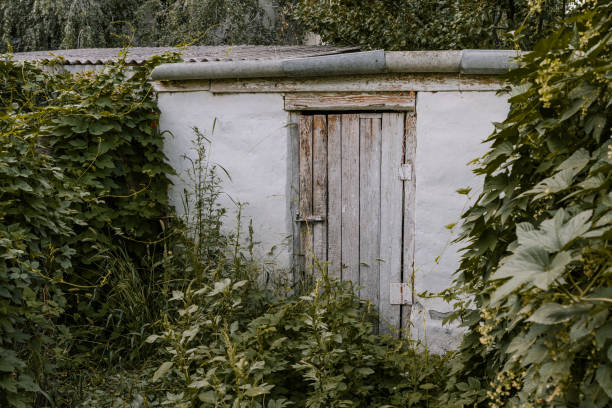 istock Abandoned outbuilding in an overgrown garden 1650852074