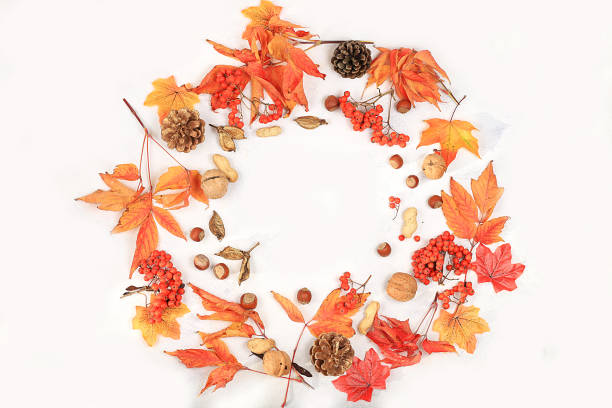 istock Frame with maple leaves, pine cones, nuts, apples and rowan, autumn abstract composition, thanksgiving day concepts, seasonal background, banner or screen saver, 1650895074