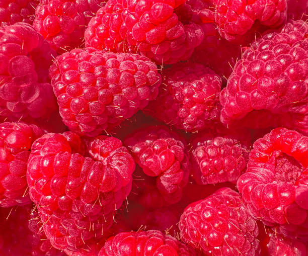 Summer fruits