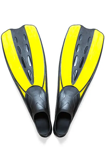 Photo of Scuba diving fins, flippers