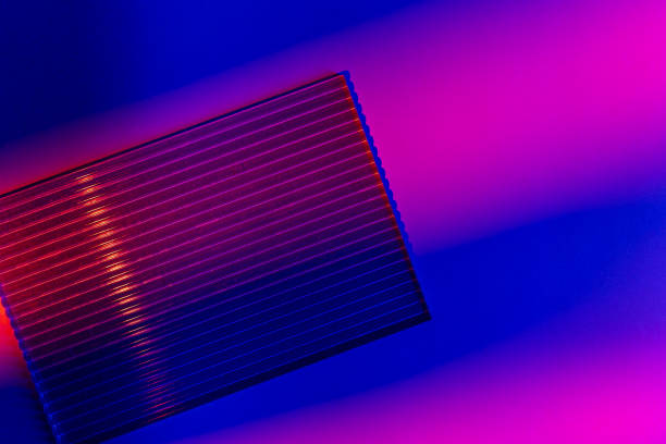 istock Blue and red gradient light. Palm tree leaves and podiums in neon lights on abstract background. Trendy geometric shapes. Mock up. Minimalism, 90s, 80s concept. close up 1650917452
