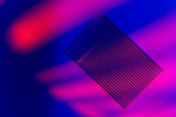 istock Blue and red gradient light. Palm tree leaves and podiums in neon lights on abstract background. Trendy geometric shapes. Mock up. Minimalism, 90s, 80s concept. close up 1650918009