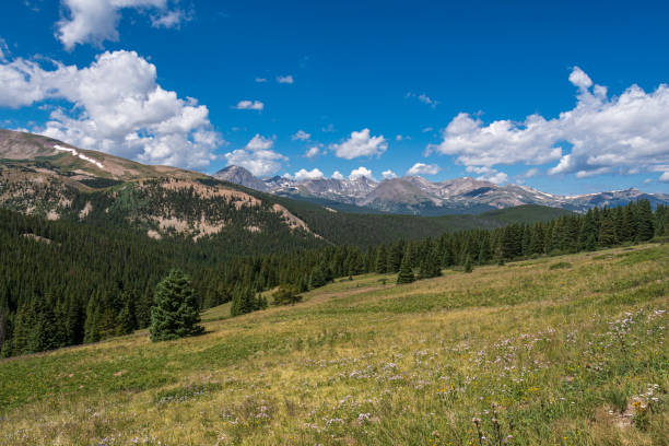 istock Boreas Pass in Breckenridge, Colorado 1650968167