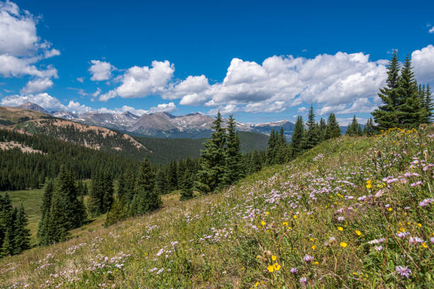 Boreas Pass was the route used in the late 1800s and early 1900s by a railroad the went from Breckenridge to Como, Colorado.  Today a dirt road follows the original path of the railroad.  There are ghost towns and remnants of the railroad as one drives the road.