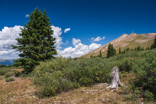 Boreas Pass was the route used in the late 1800s and early 1900s by a railroad the went from Breckenridge to Como, Colorado.  Today a dirt road follows the original path of the railroad.  There are ghost towns and remnants of the railroad as one drives the road.