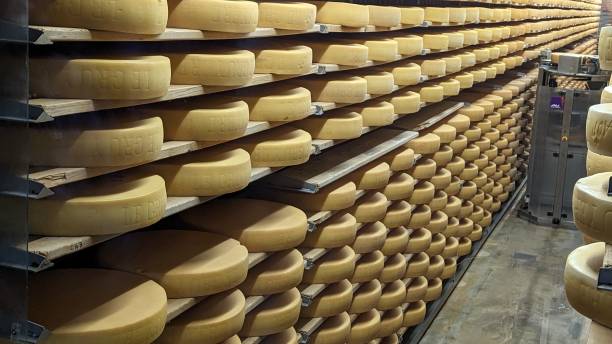istock Rounds of cheese 1650972458