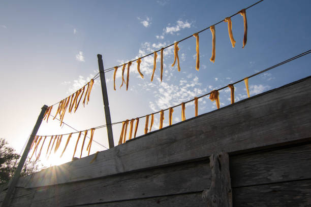 istock Fish drying in the sun in Formentera island 1650983792