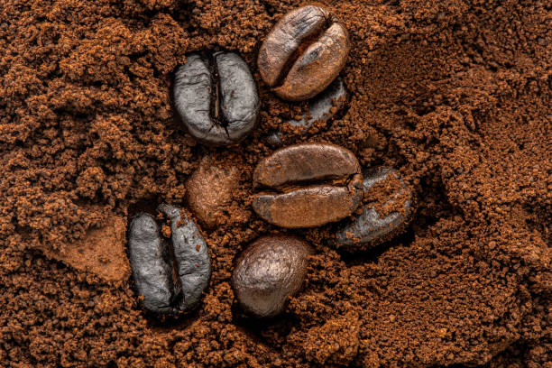 istock Coffee beans and ground coffee background 1650990954