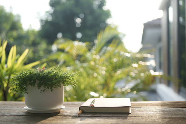istock Diary notebook and plant and  wooden table outdoor 1650994104