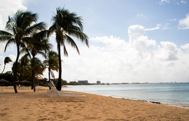 istock A Day at the Beach 2 1651039492