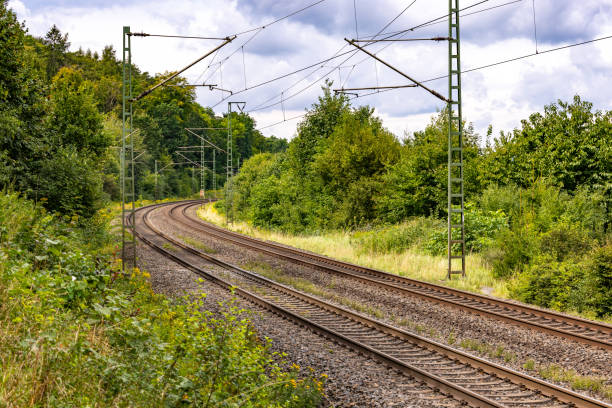 istock Two parallel tracks of a railroad line next to trees and catenary poles 1651043435