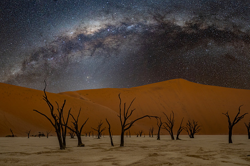 Deadvlei with Milky Way in Namibia, Africa