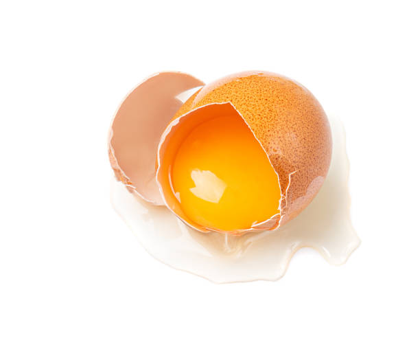 istock Broken Egg Isolated, Raw Yolk and White, Cracked Brown Shell, Fresh Broken Chicken Eggs on White Background 1651168623
